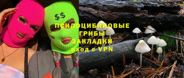 a pvp Карпинск